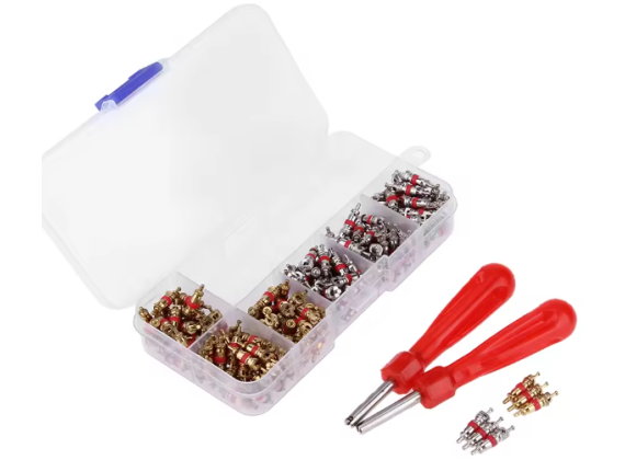 ASSORTOMENT BOX 100x VALVE  + 2 TOOLS (VENTIELEN)