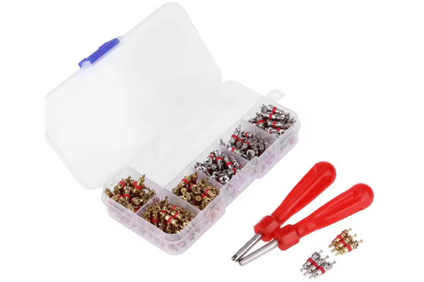 ASSORTOMENT BOX 100x VALVE  + 2 TOOLS (VENTIELEN)