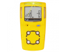Honeywell BW GasAlert MicroClip XL R600 R290 Mutigas Detector (BINNENKORT LEVERBAAR)
